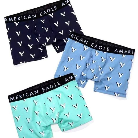 American Eagle Outfitters Other - American Eagle Outfitters Shadow Eagle Classic Boxer Briefs Medium